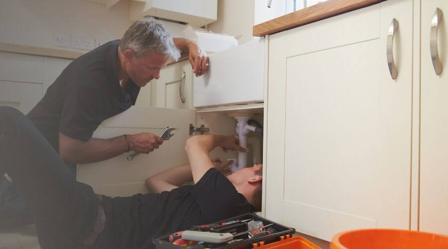 Professional Water Damage Mitigation services in Greenleaf, WI
